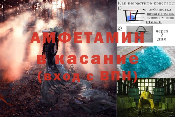 ГАЛЛЮЦИНОГЕННЫЕ ГРИБЫ Майский