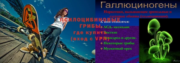 ГАЛЛЮЦИНОГЕННЫЕ ГРИБЫ Майский