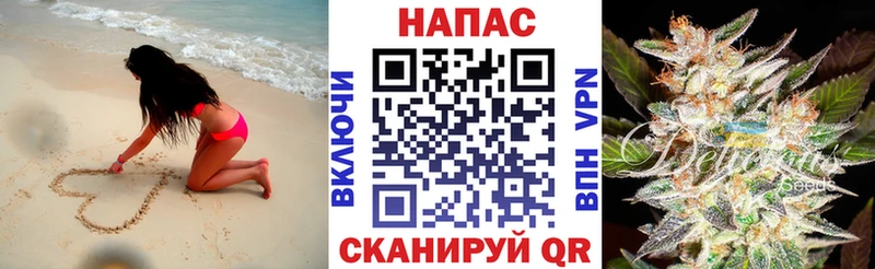 Бошки Шишки семена  где найти   omg как зайти  Чадан 